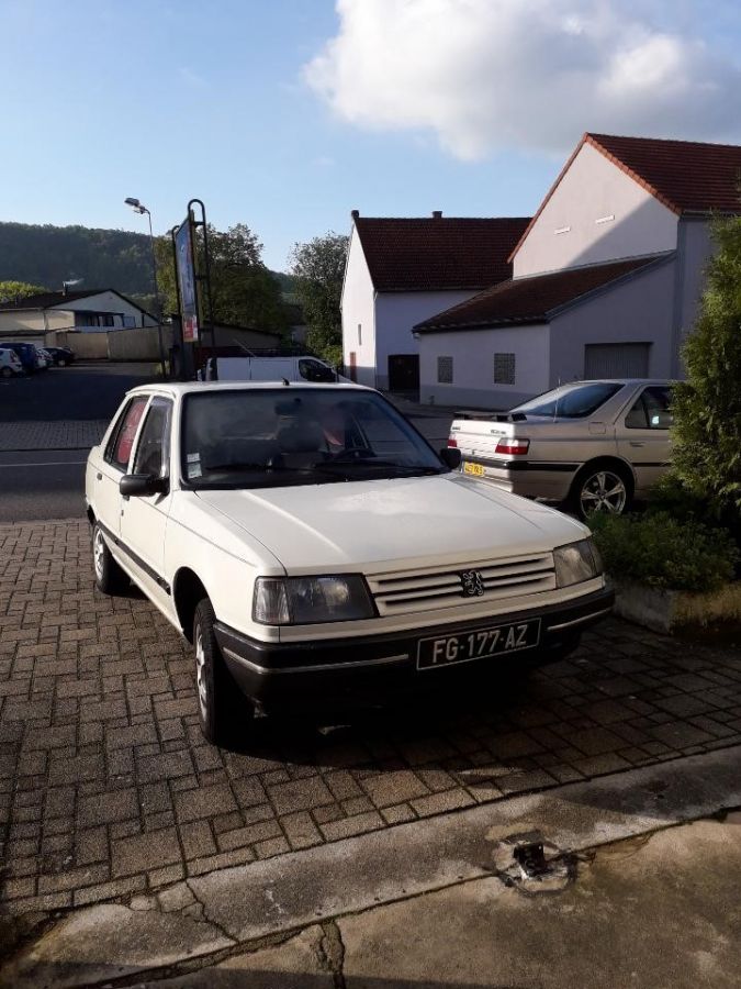 Peugeot 309 - 1989