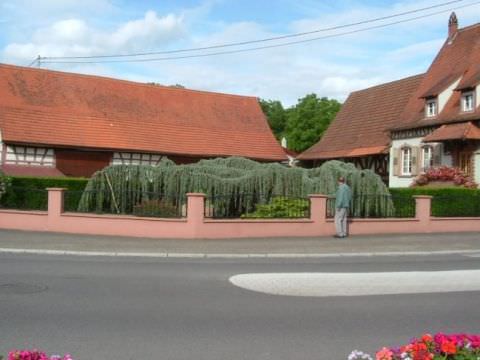 Ronde de 2 jours (AVAHE)