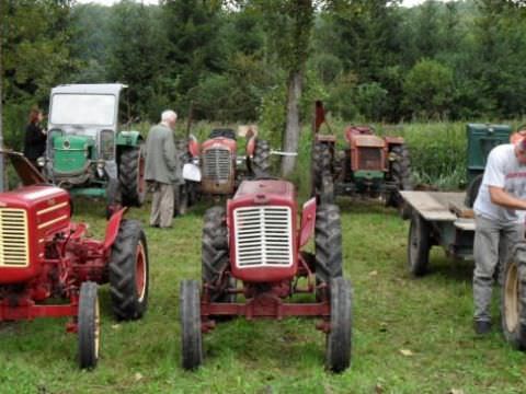 Photo Exposition à Mittersheim