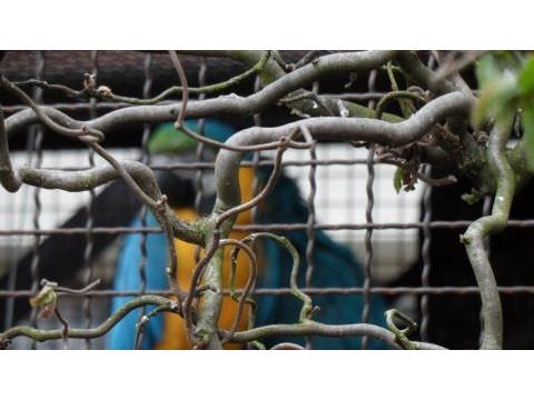 Photo Sortie de printemps