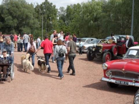 Festival des Voitures Anciennes de Hambach