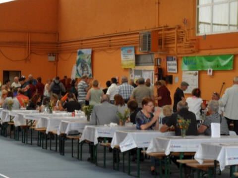 Festival des Voitures Anciennes de Hambach