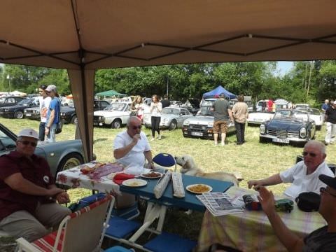 Expo à Freistroff 57 (Chateau ST Sixte)