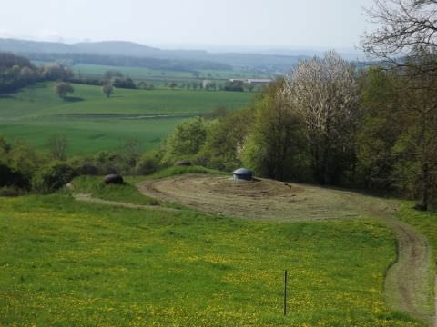 Sortie de Printemps