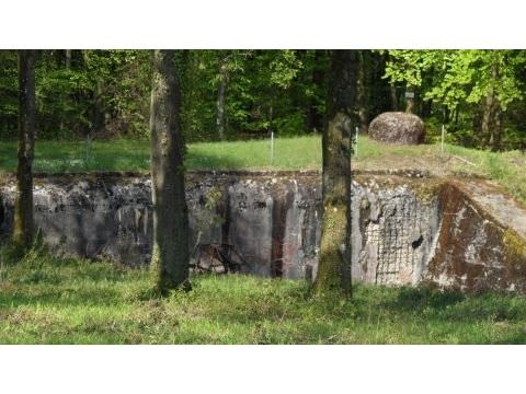 Photo Sortie de Printemps