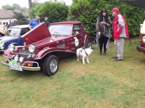 Photo Exposition à Toul