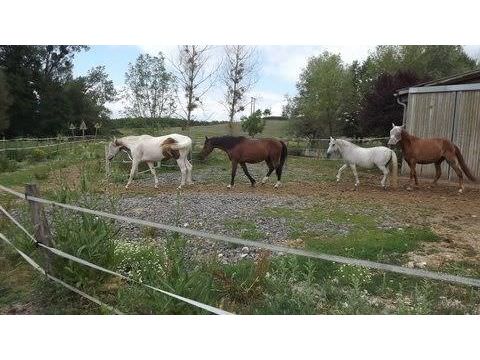 Expo à Edling-lès-Anzeling