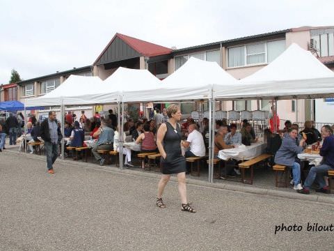 12e Festival des Voitures anciennes