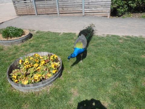 Photo Sortie de printemps
