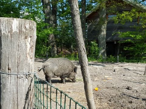 Photo Sortie de printemps
