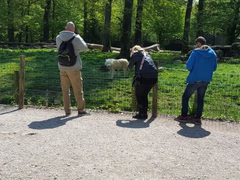 Photo Sortie de printemps