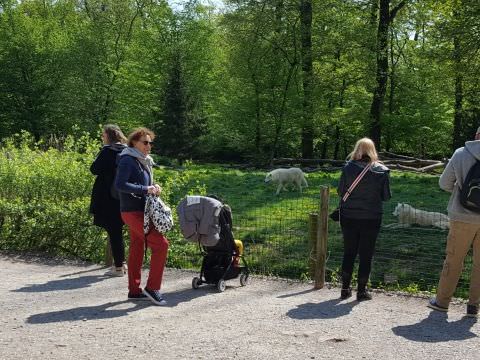 Photo Sortie de printemps