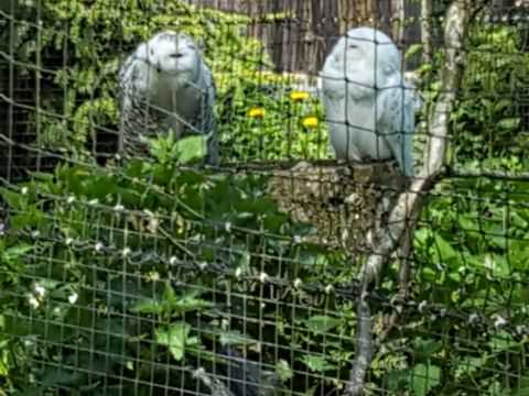 Photo Sortie de printemps