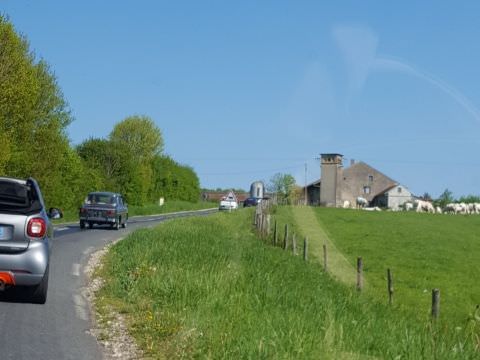 Photo Sortie de printemps