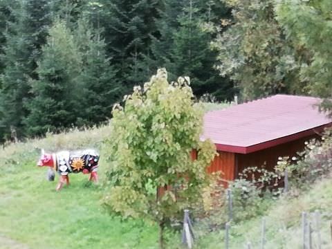 Ronde de 3 jours en Forêt noire