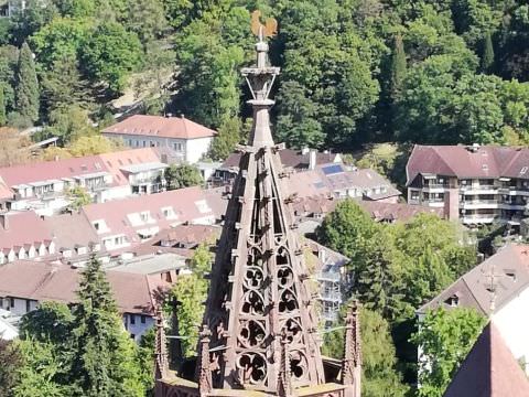 Ronde de 3 jours en Forêt noire