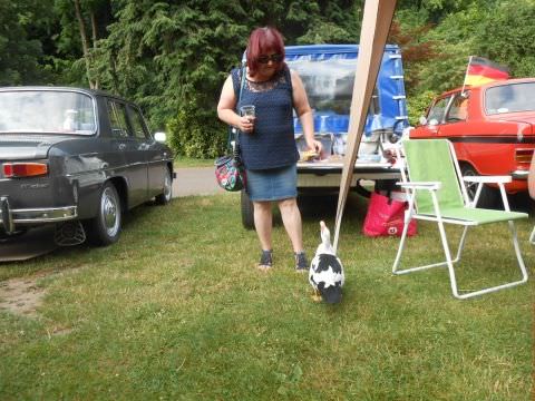 Photo Exposition Jardin Franco- Allemand