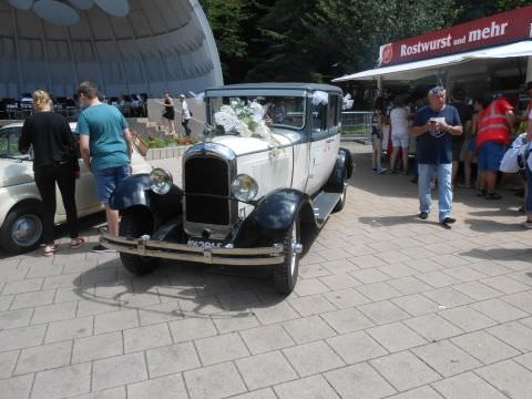 Photo Exposition Jardin Franco- Allemand