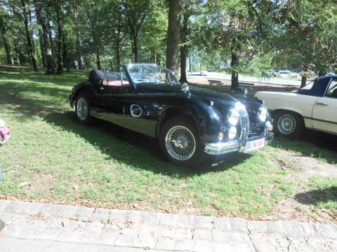 Photo Exposition auto moto retro