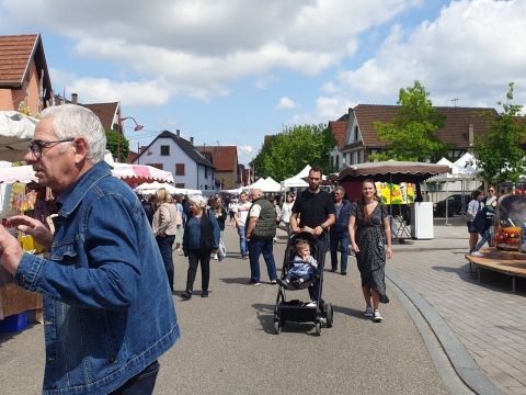 Sortie Asperges Photo Sortie Asperges