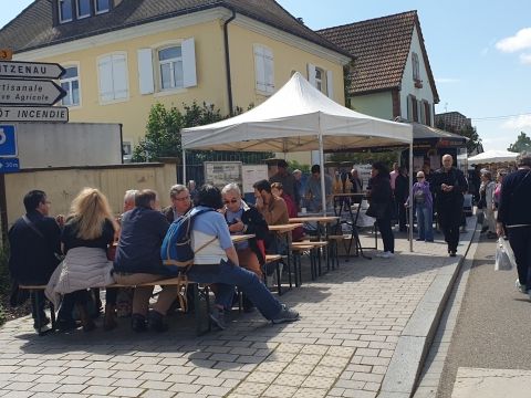 Sortie Asperges Photo Sortie Asperges