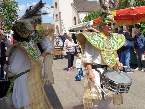 Sortie Asperges