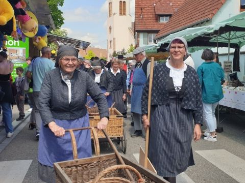 Sortie Asperges Photo Sortie Asperges