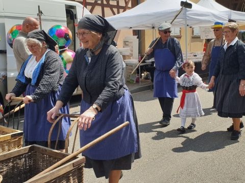 Sortie Asperges Photo Sortie Asperges