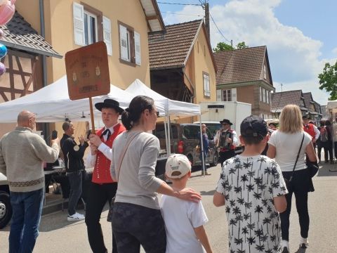 Sortie Asperges Photo Sortie Asperges