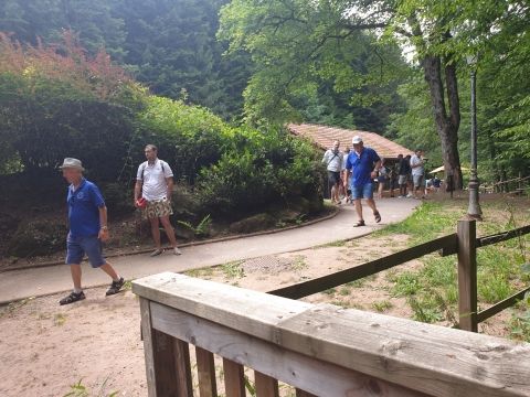 Photo Train du 14 juillet