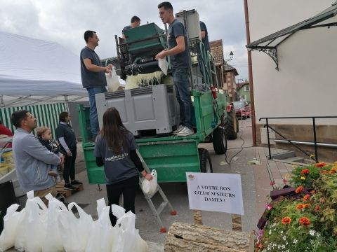 Photo Fête de la choucroute