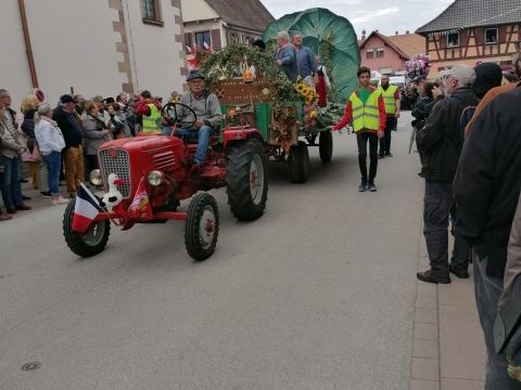 Photo Fête de la choucroute