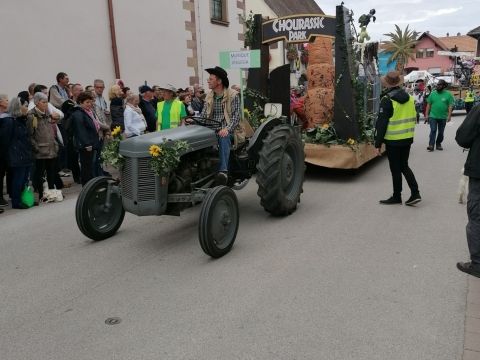 Photo Fête de la choucroute