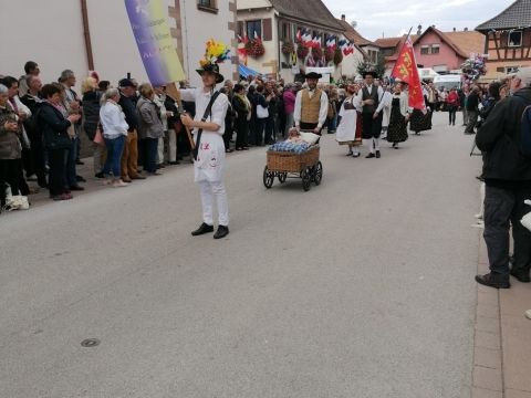 Photo Fête de la choucroute
