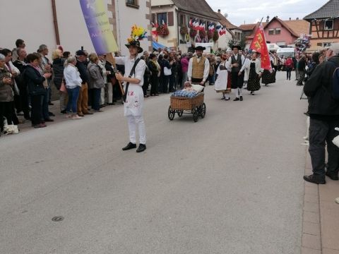 Fête de la choucroute