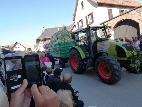 Photo Fête de la choucroute