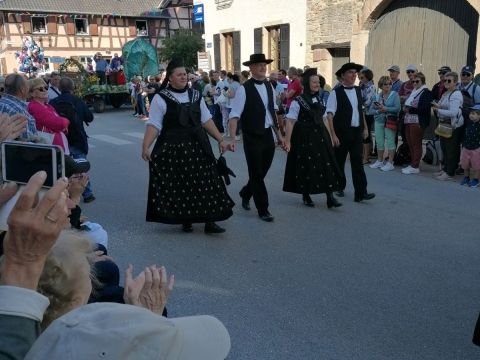 Fête de la choucroute