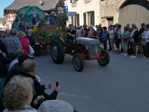 Photo Fête de la choucroute