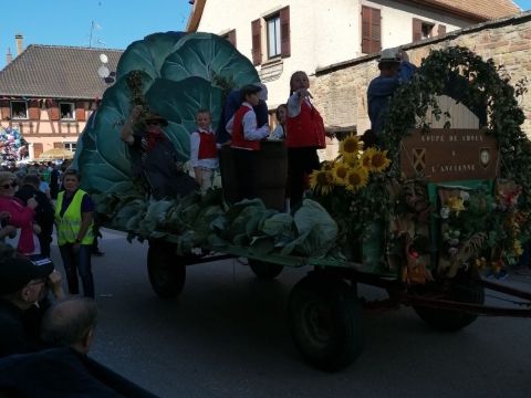 Photo Fête de la choucroute