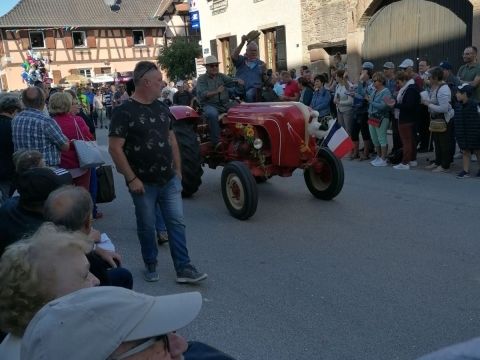 Photo Fête de la choucroute
