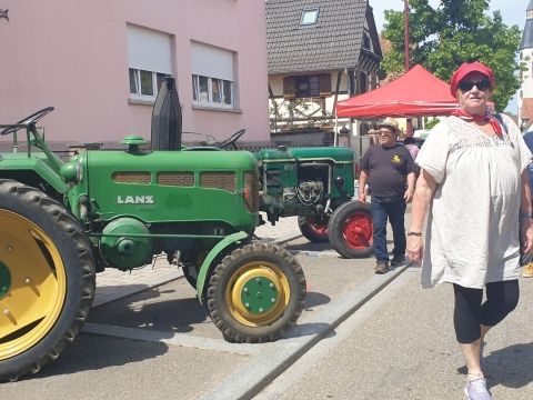 Photo Sortie Asperges