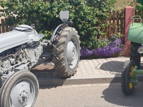 Photo Sortie Asperges