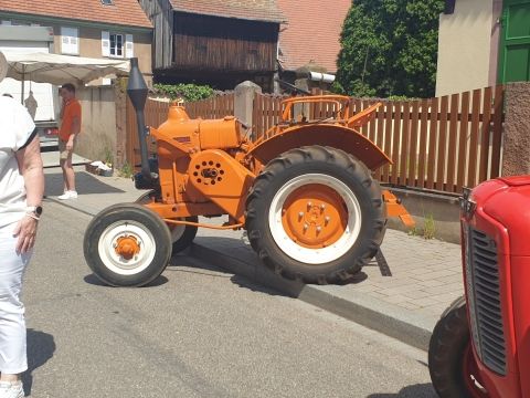 Photo Sortie Asperges