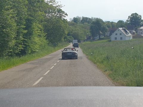 Photo Sortie Asperges