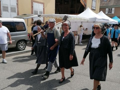 Photo Sortie Asperges