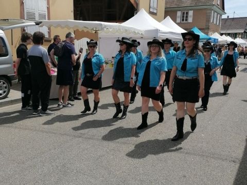 Photo Sortie Asperges