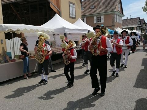 Photo Sortie Asperges