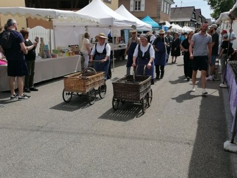 Photo Sortie Asperges