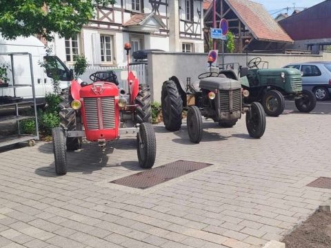 Photo Sortie Asperges