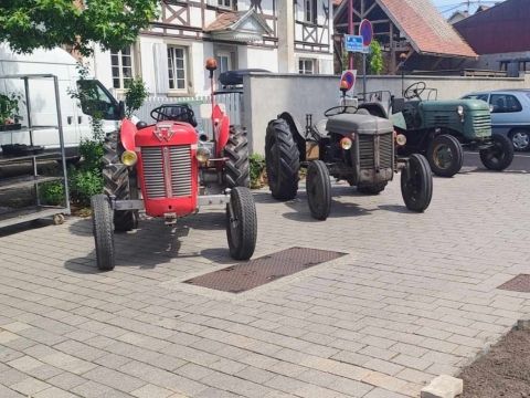 Photo Sortie Asperges